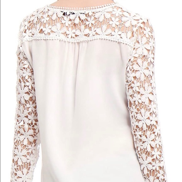 Chiffon Semi Sheer  Blouse - Picture 4 of 7